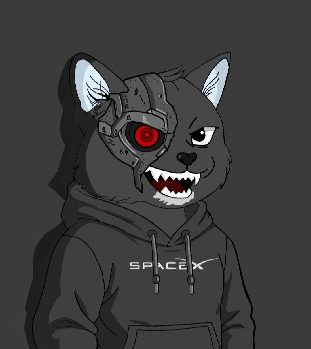 XRPURR